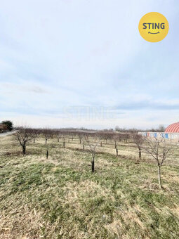 Exkluzivně vám nabízíme višnový sad na konci obce Lu, 132997 - 4