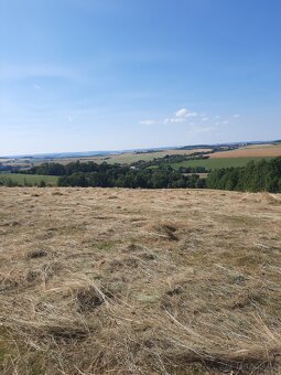 Seno malé balíky - 4