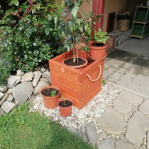 10%-SLEVA Modřínový masivní vyvýšený záhon-květináč - 4