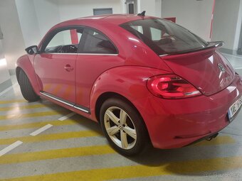 New beetle - 4