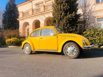 VW BROUK SUNNY BUG - 4