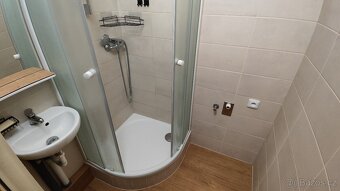 Pronájem bytu 2+1 47 m2 - 4