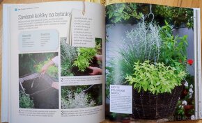 Vypěstujte si co sníte - Dorling Kindersley - 4