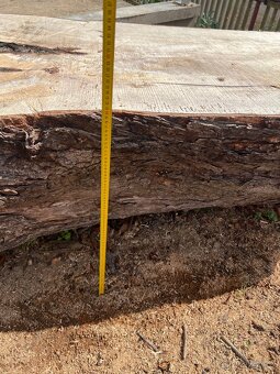 Kmen kaštan dřevo - 4