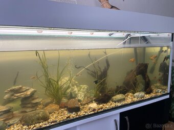 🐠 Velké vybavené akvárium 270L + skříňka (kompletní set) - 4