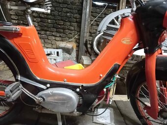 Jawetta 551 - 4