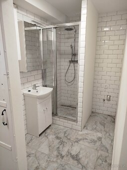 Pronájem 1+1 40m², Slovanská, Plzeň - 4