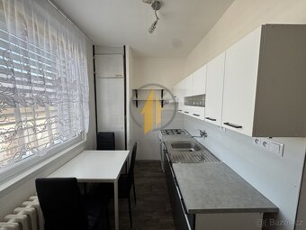 Pronájem slunného bytu 1+1 po rekonstrukci - 4