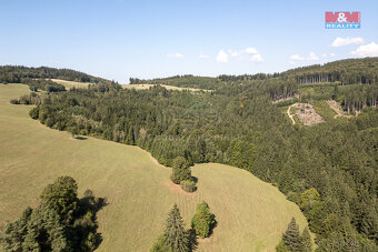 Prodej lesa, 8743 m², Valašská Senice - 4