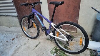 Kolo Kona 12inch - 4