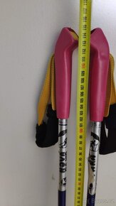 Dětské běžky s protismykem 150cm + hůlky - 4