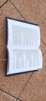 TEORIE VRAŽDY ANDREW MAYNE (série 3.díl) - 4