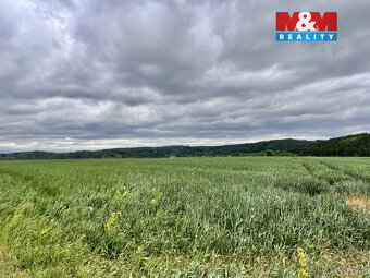 Prodej pole, 22965 m², Měcholupy - 4