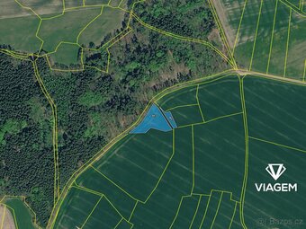 Pole 2 950 m² - 4