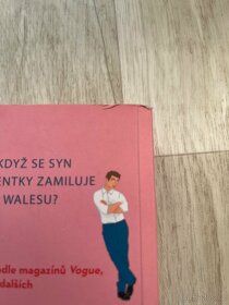 Červená, bílá a královsky modrá - 4
