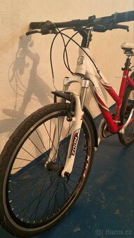 Favorit Modus SX 26" - 4