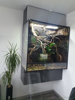 Terarium - 4