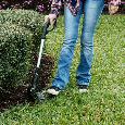 Hammersmith Bionic Trimmer - 4