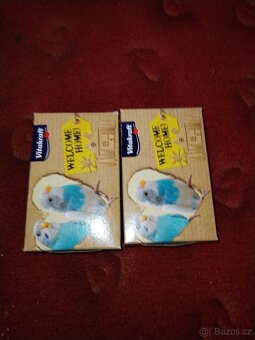 Vybavení to klece pro ptáky - 4