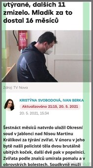kočka ústí n.l. - 4