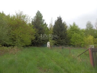 Prodej pozemku 717 m2 Amerika - Nový Jáchymov - 4