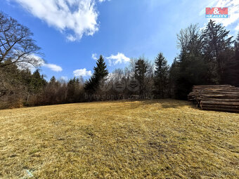 Prodej lesa, 6089 m², Němčice - 4