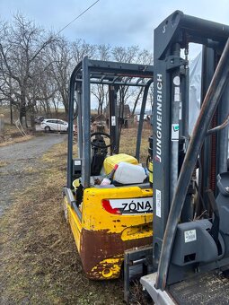 Ještěrka jungheinrich - 4