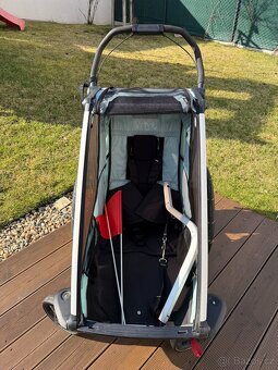 Chariot Thule cross1 - 4