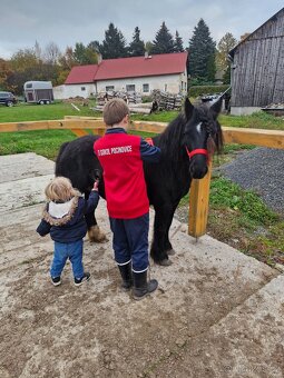 Pony kobylka - 4