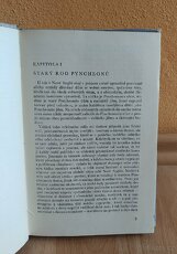 Nathaniel Hawthorne - Dům se sedmi štíty - 4