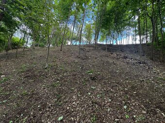 Stavební pozemek 1 528 m² u potoka – v chatařské osadě - 4