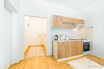 Pronájem bytu 1+kk - 4