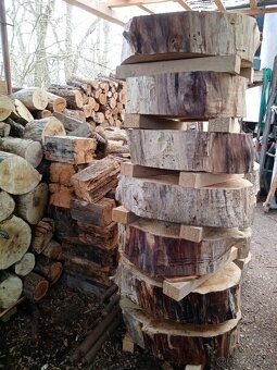 Dřevo na stůl, řez 20cm průměr až 80cm - 4