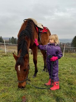 Hodný hřebeček - 4