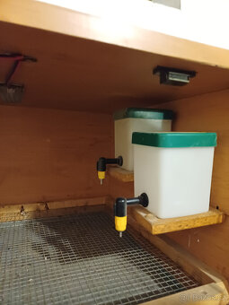 Odchovna pro kuřátka - 4