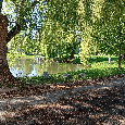 Domek na rekonstrukci - 4