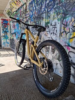 Focus Sam 9.9 (celoodpružené kolo) - 4