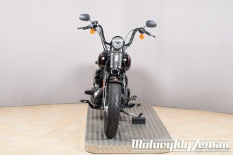 Harley-Davidson FLSTSB Softail Cross Bones 2009 - 4