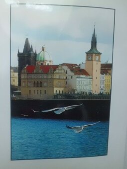 Velká Sbírka Originál Uměleckých Fotografií EVA MALÁ - PRAHA - 4