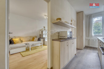 Prodej bytu 3+1, 67 m², Plzeň, ul. Nad Dalmatinkou - 4