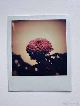 Polaroid SX-70 Sonar Autofocus - 4