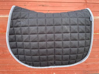 Kingsland podsedlovka - 4