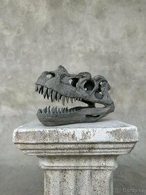 Replika lebky dinosaura Ceratosaurus Muzejní kvalita, 20cm - 4