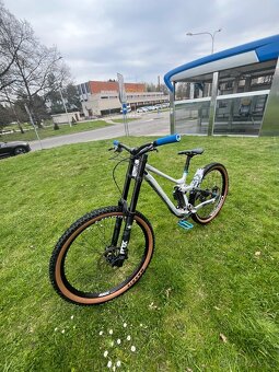 CUSTOM SCOTT GAMBLER - 4