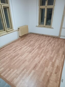 Pronajmu garsonku v Aši - 4