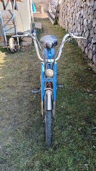 Atala Rizzato Babetta - 4