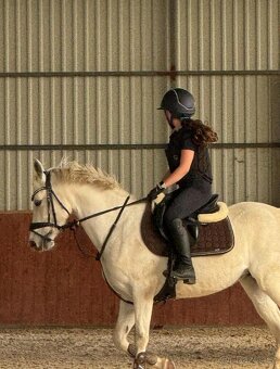 DETSKE SKOKOVE SEDLO PRESTIGE HAPPY PONY POSEDLI 15/2-3 - 4