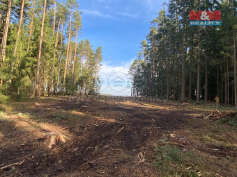 Prodej lesa, 7764 m², Újezdec - 4