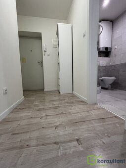 Pronájem bytu 1+1, 35 m2 - Ostrava - Vítkovice, ev.č. 00795 - 4