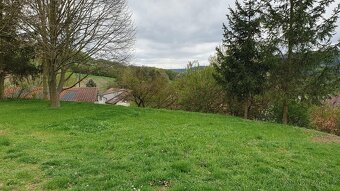 Podíl na 11 ha louky Moravská Chrastová, Svitavy - 4